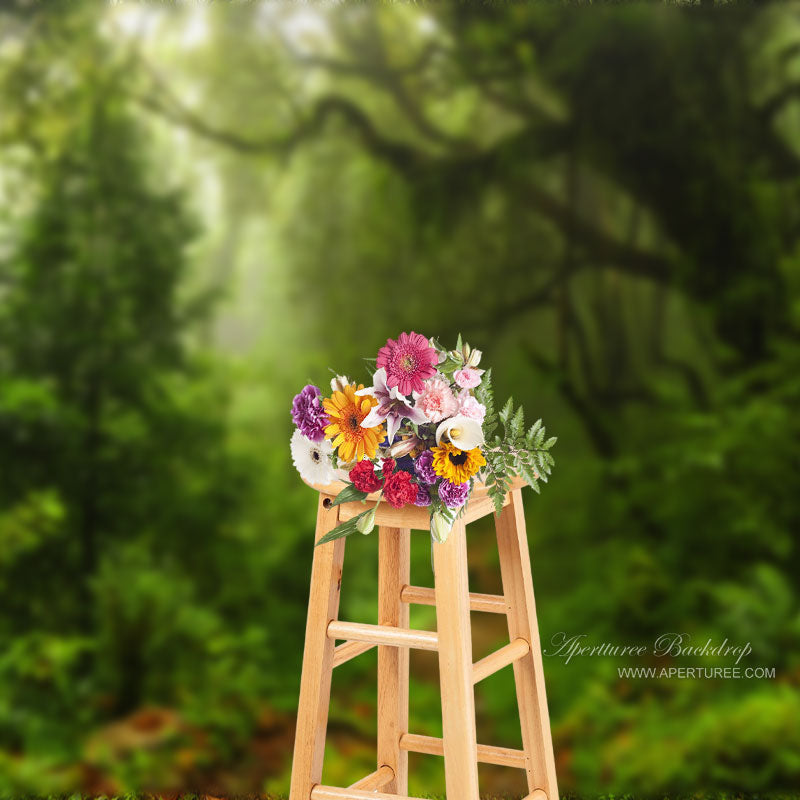 Pathway Green Jungle Nature Spring Cloth Backdrop