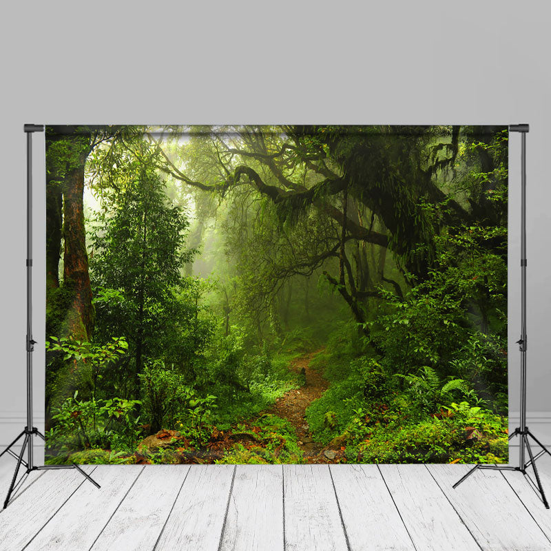 Pathway Green Jungle Nature Spring Cloth Backdrop
